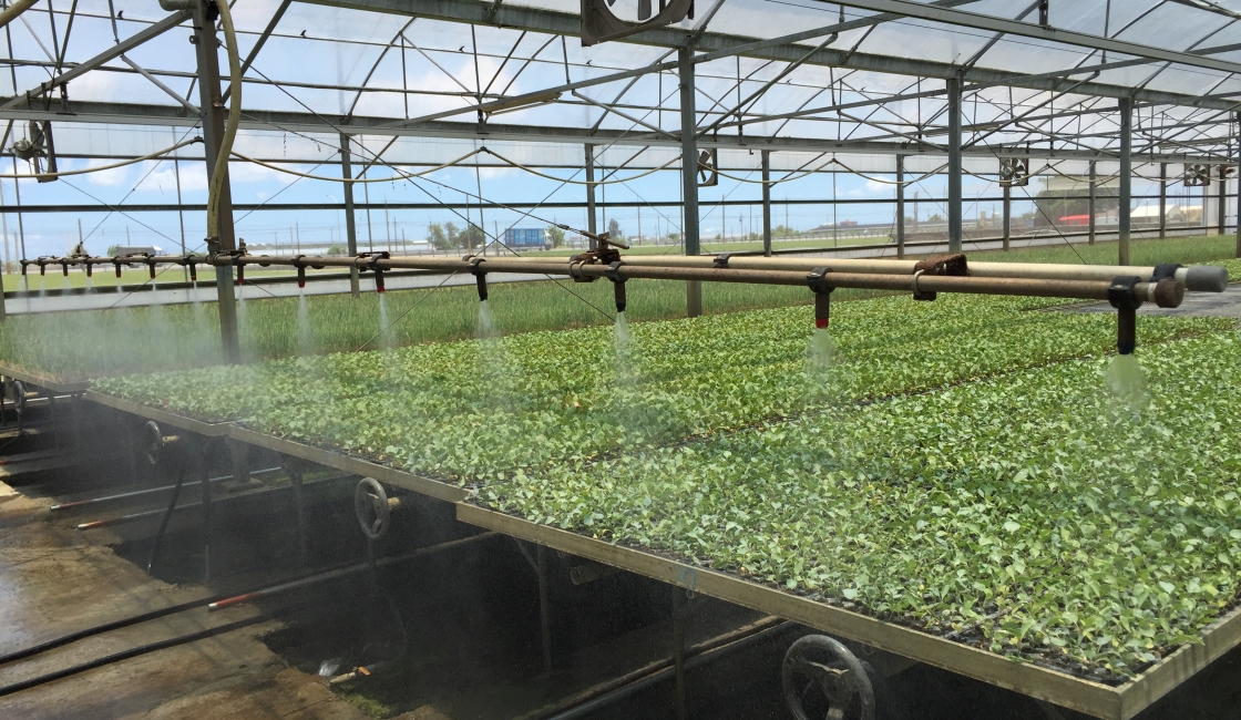 Automatic Irrigation System HW-104