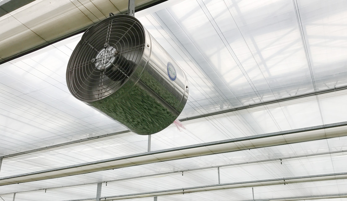 Circulation Fan