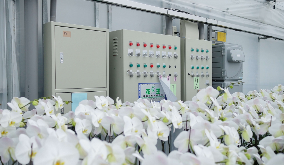 微電腦光溫度控制系統